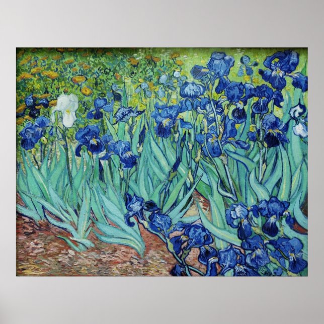 Póster Vincent van Gogh, Irises. (Frente)