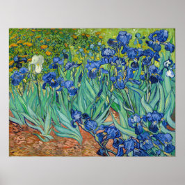 Póster Vincent Van Gogh - Irises