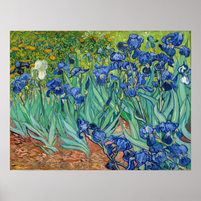 Póster Vincent Van Gogh - Irises (Frente)