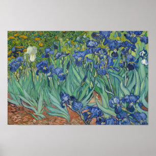 Póster Vincent van Gogh - Irises