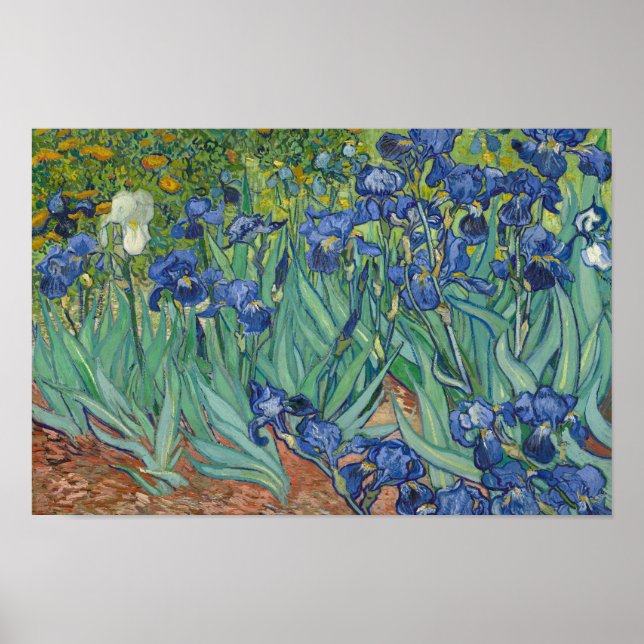 Póster Vincent van Gogh - Irises (Frente)