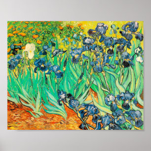 Póster Vincent van Gogh Irises 1889 Flores Azules