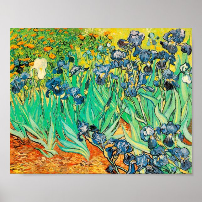 Póster Vincent van Gogh Irises 1889 Flores Azules (Frente)