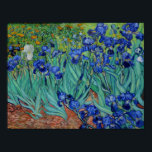 Póster Vincent Van Gogh Irises Vibrant Flower Bella Artes<br><div class="desc">Vincent Van Gogh Irises Vibrant Flower Bella Artes</div>