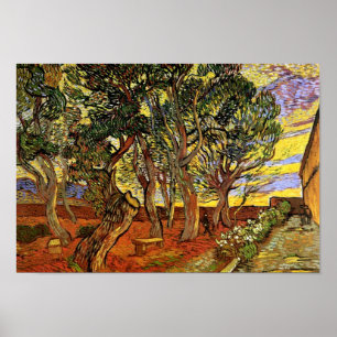 Póster Vincent Van Gogh - Jardín del Hospital de Saint Pa