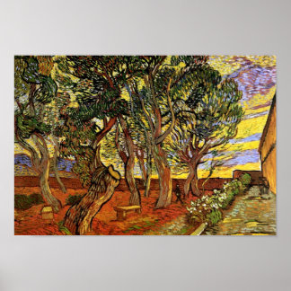 Póster Vincent Van Gogh - Jardín del Hospital de Saint Pa