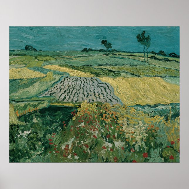 Póster Vincent van Gogh - La llanura de Auvers (Frente)