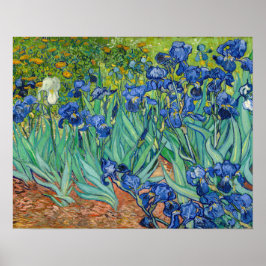 Póster Vincent Van Gogh - Lirios