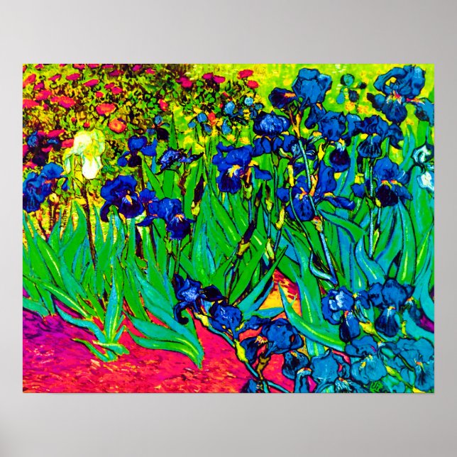 Póster Vincent Van Gogh - Lirios - Amante de las Flores A (Frente)