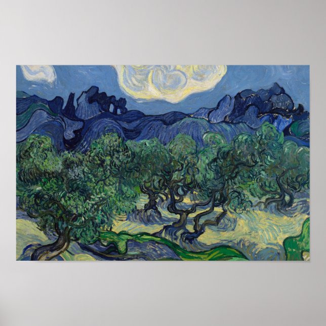 Póster Vincent van Gogh - Los Olivos (Frente)