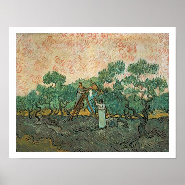 Póster Vincent van Gogh | Los recolectores de aceitunas,  (Frente)