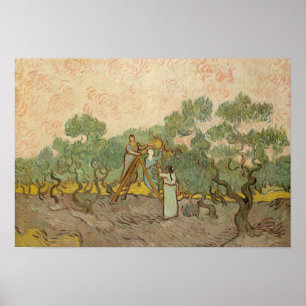 Póster Vincent van Gogh - Mujeres recogiendo aceitunas