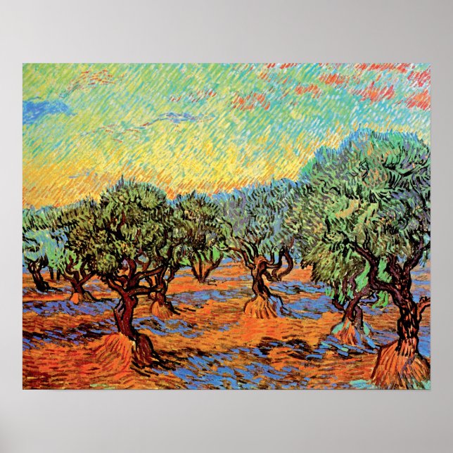 Póster Vincent Van Gogh - Olivar con cielo anaranjado (Frente)