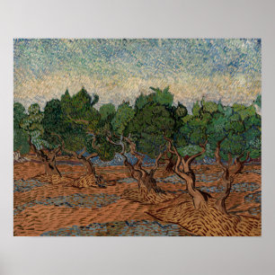Póster Vincent van Gogh - Olive Grove