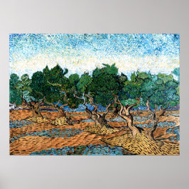 Póster Vincent van Gogh - Olive Grove