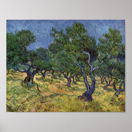 Póster Vincent van Gogh - Olive Grove