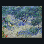 Póster Vincent van Gogh Olive Orchard<br><div class="desc">Vincent van Gogh Olive Orchard</div>