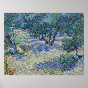 Póster Vincent van Gogh Olive Orchard