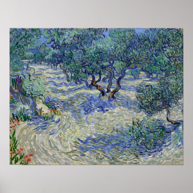 Póster Vincent van Gogh Olive Orchard (Frente)