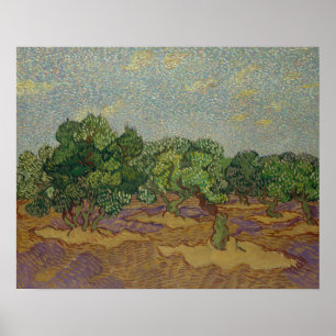 Póster Vincent van Gogh - Olivos