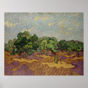 Póster Vincent van Gogh - Olivos