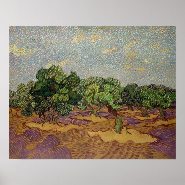 Póster Vincent van Gogh - Olivos (Frente)
