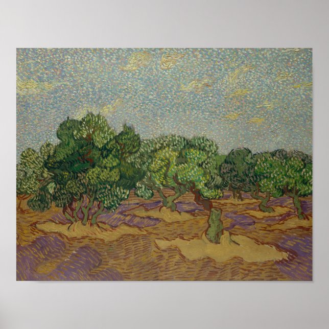 Póster Vincent van Gogh - Olivos (Frente)