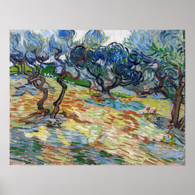 Póster Vincent van Gogh - Olivos: Cielo azul brillante (Frente)