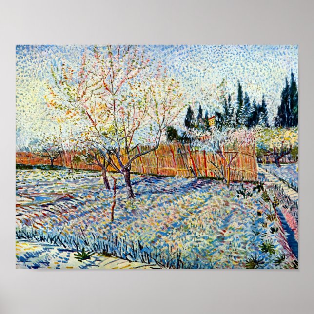 Póster Vincent Van Gogh - Orchard con árboles de mimbre (Frente)