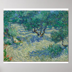 Póster Vincent Van Gogh - Orchard de Oliva