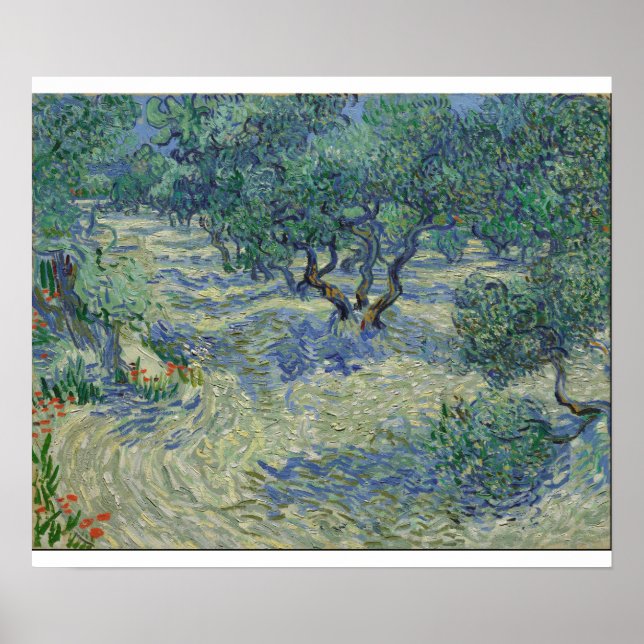 Póster Vincent Van Gogh - Orchard de Oliva (Frente)