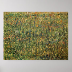Póster Vincent van Gogh - Pastor en Bloom