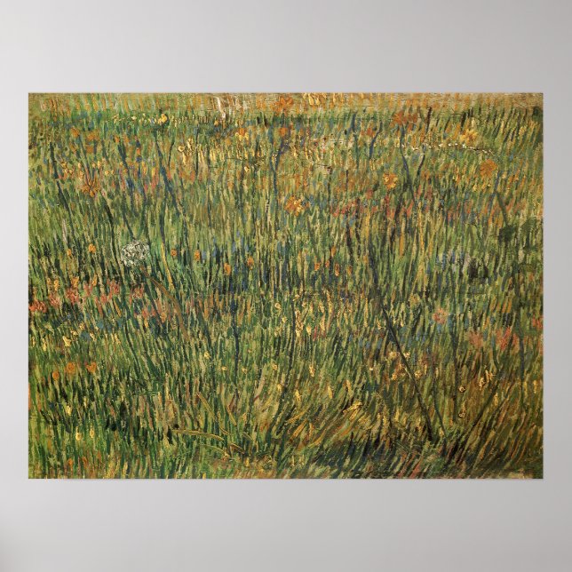 Póster Vincent van Gogh - Pastor en Bloom (Frente)