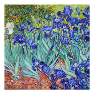 Póster Vincent Van Gogh pintando Irises