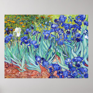 Póster Vincent Van Gogh pintando Irises