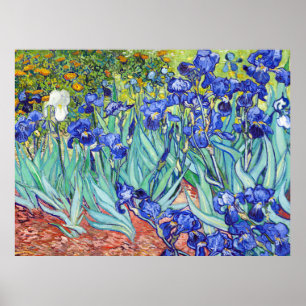 Póster Vincent Van Gogh pintando Irises