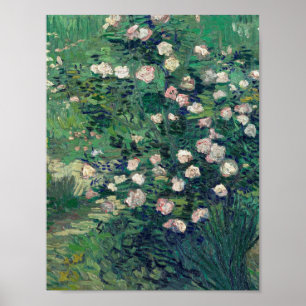 Póster Vincent Van Gogh - Rosebush en Blossom