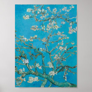 Póster Vincent Van Gogh - Sucursales con flores de almend