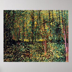 Póster Vincent Van Gogh - Trees And Undergrowth Fine Art