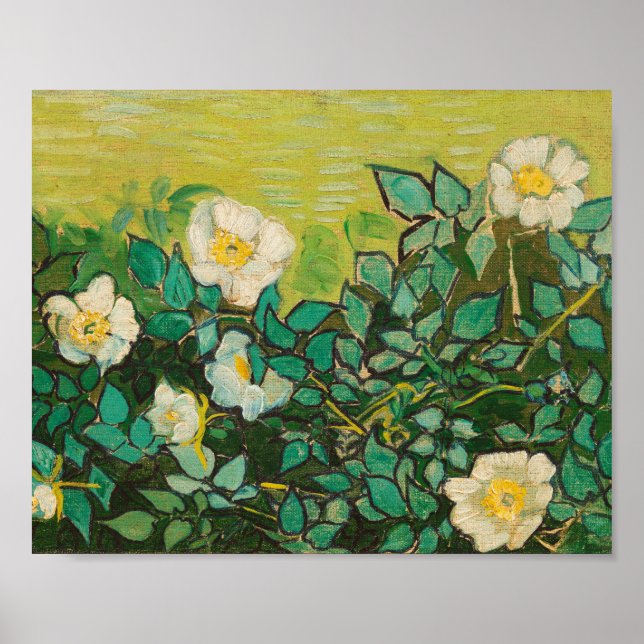 Póster Vincent Van Gogh Wild Rosas Bella Artes (Frente)