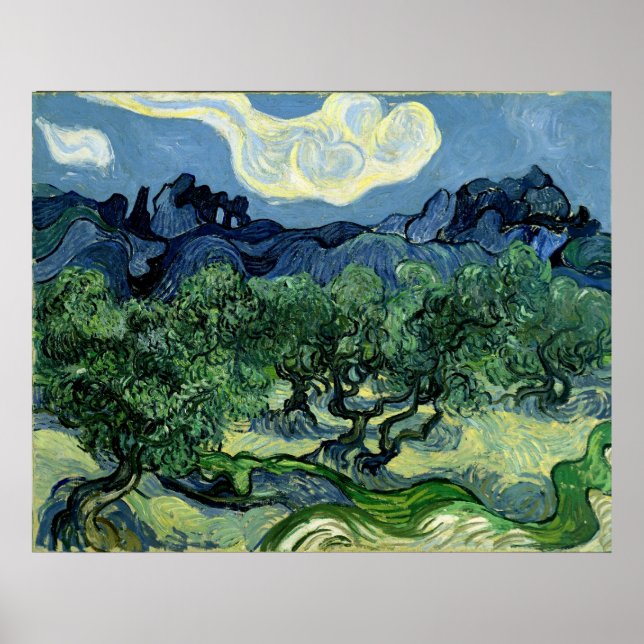 Póster Vincent van Gogh's Olive Trees (1889) (Frente)