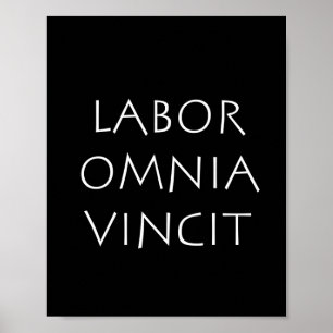 Póster Vincia de la omnia laborista