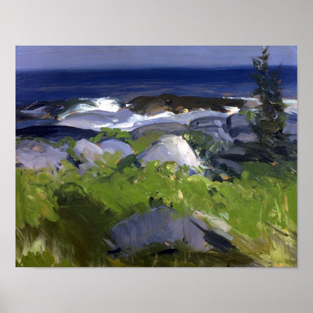 Póster Vine Clad Shore - Bellows (Frente)