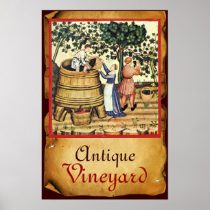 PÓSTER VIÑEDO ANTIGUO DE UVA COSECHA PERGAMINO