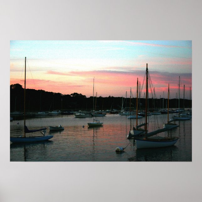 Póster Viñedo de Martha (Frente)