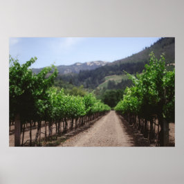 Póster Viñedo del Valle de Napa