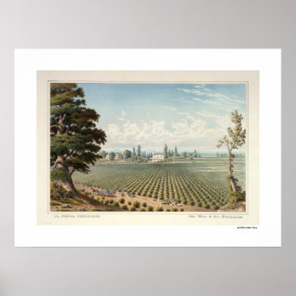 Póster Viñedo El Pinal, Poster del Condado de San Joaquin