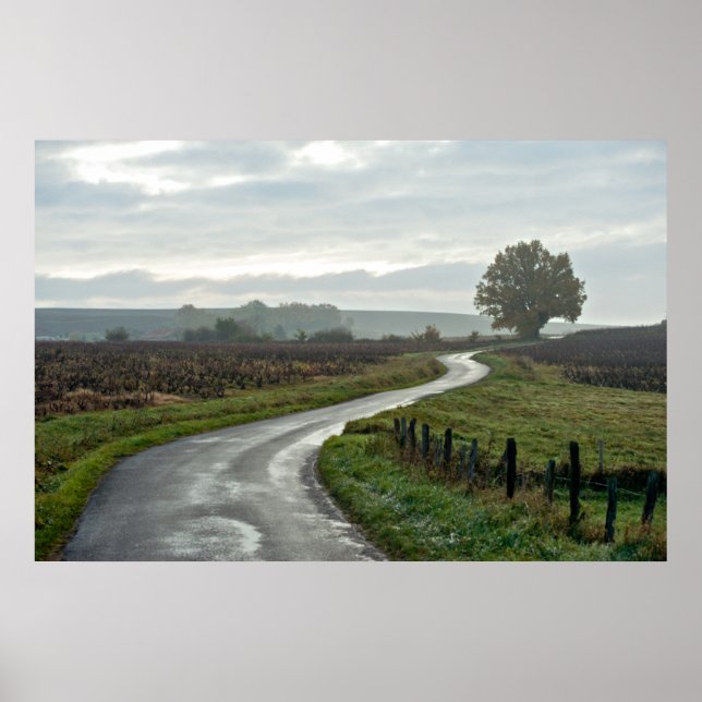 Póster Viñedo en Lantignié, departamento de Rhône (Frente)