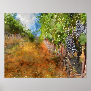 Póster Viñedo en Napa Valley California