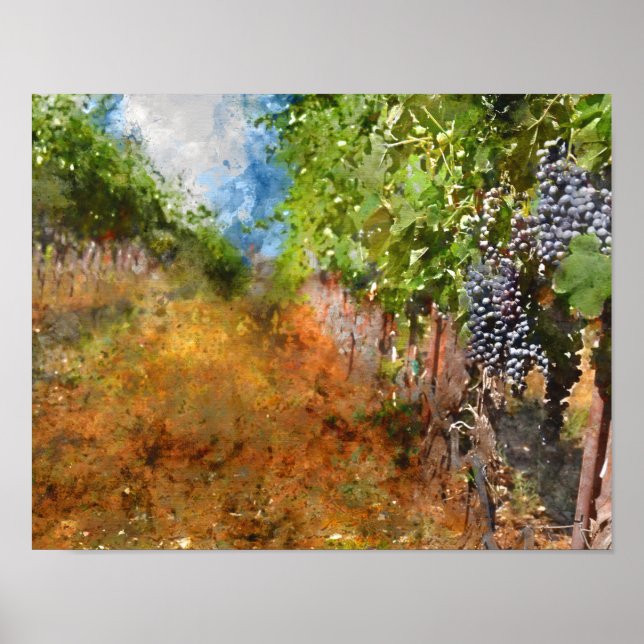 Póster Viñedo en Napa Valley California (Frente)